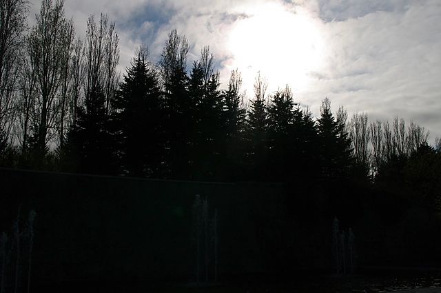 Nature (Backlight) | Japan | Tree / Wood