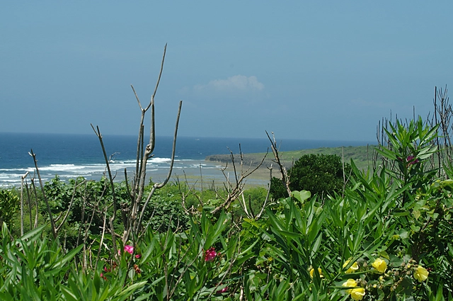 Okinawa Sea | Okinawa Prefecture