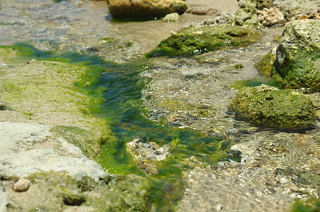 Okinawa Waterside | Okinawa Prefecture