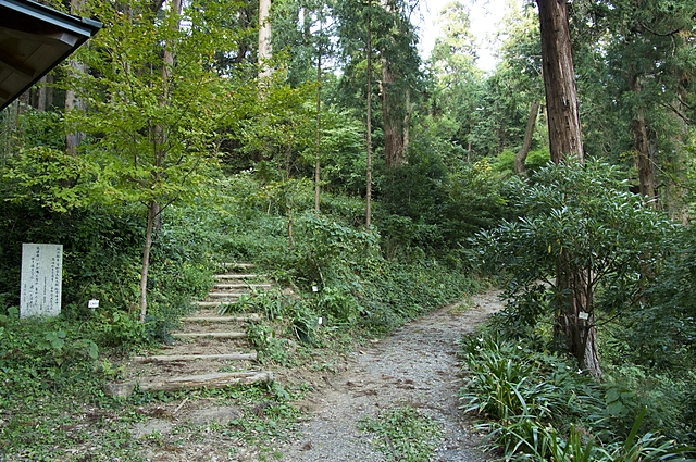 Mt. Tsukuba | Ibaraki Prefecture | Mount Tsukuba