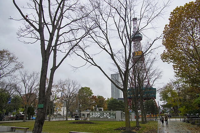 大通公園とテレビ塔｜北海道札幌市中央区