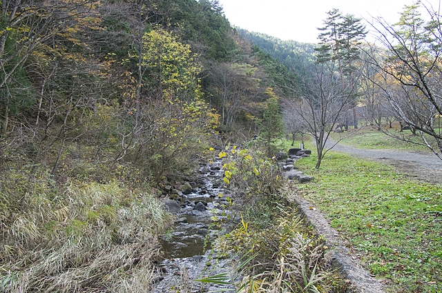 Stream | Yamanashi Prefecture