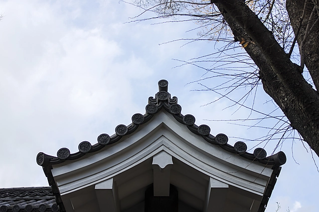 Kitanomaru Park Castle Wall | Tokyo