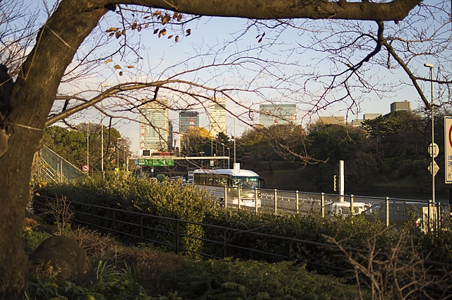 Shuto Expressway seen from Chidorigafuchi | Tokyo