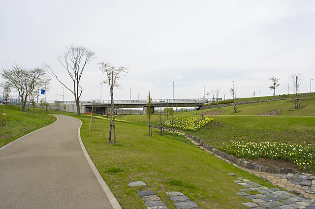 Scenery from Asahikawa Station South Plaza | Japan