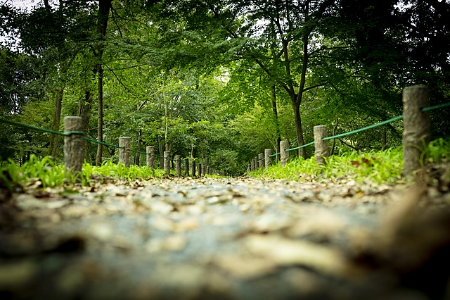 Path | Japan | Path / Lane / Alley