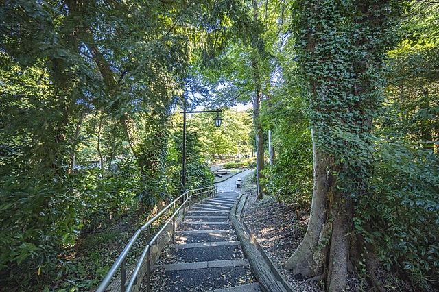 Inokashira Park | Tokyo Tama Area