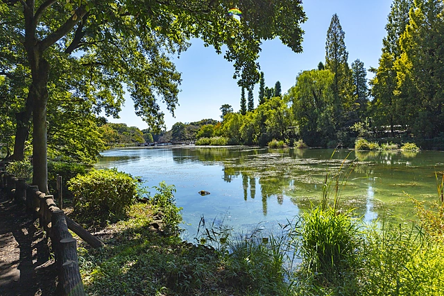 Parque Inokashira | Área de Tama (Tokio)