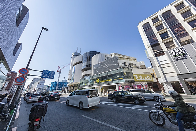 Harajuku Meiji Street | Tokyo