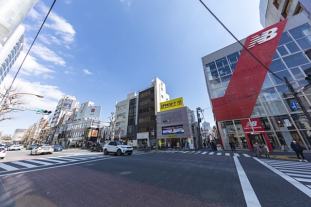 Harajuku Meiji Street | Tokyo