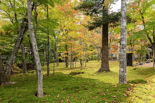 Karuizawa's nature | Nagano Prefecture