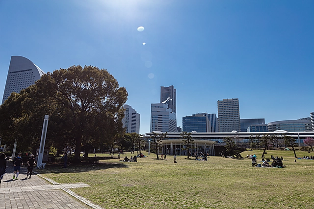 Yokohama Rinko Park | Kanagawa Prefecture