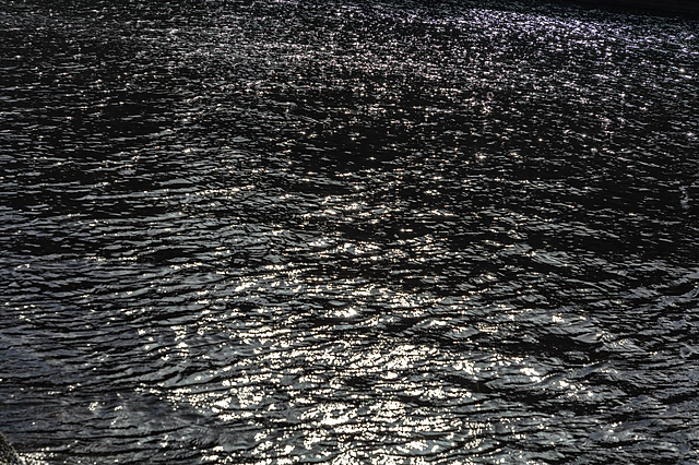 Water Surface | Japan