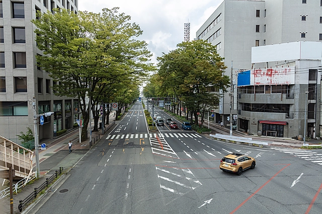 Ekimae-dori, Maebashi | Gunma Prefecture