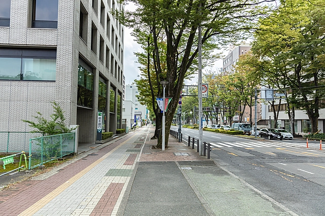 Ekimae-dori, Maebashi | Gunma Prefecture
