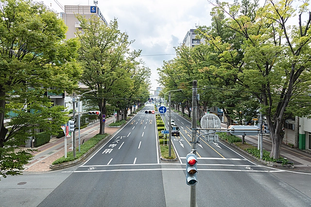 Ekimae-dori, Maebashi | Gunma Prefecture