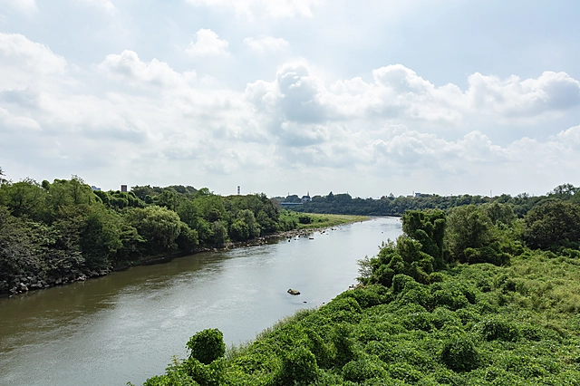 Tone River, Maebashi | Gunma Prefecture