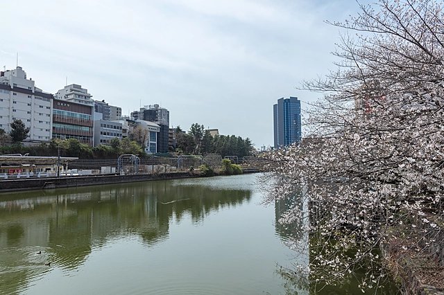 Around Ichigaya Station | Tokyo