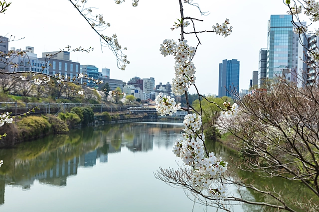 Around Ichigaya Station | Tokyo