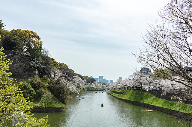 Chidorigafuchi | Tokyo