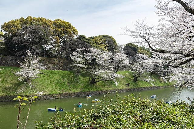 Chidorigafuchi | Tokyo