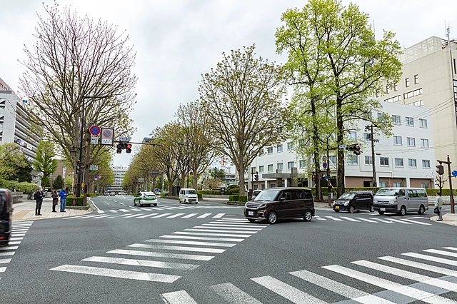Morioka Chuo-dori | Iwate Prefecture