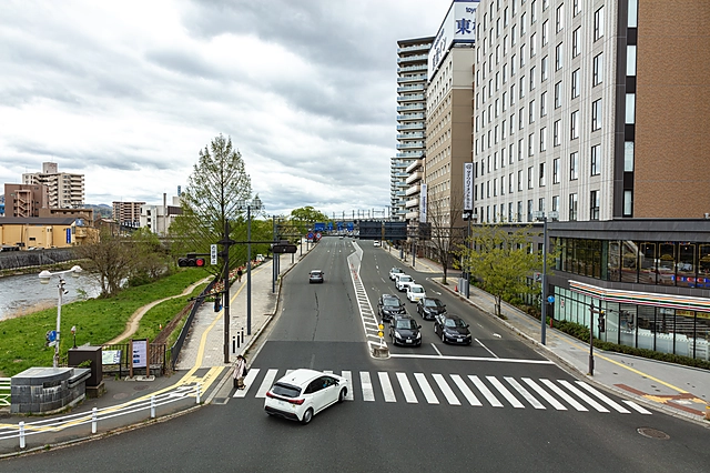 Morioka Station-mae-dori | Iwate Prefecture