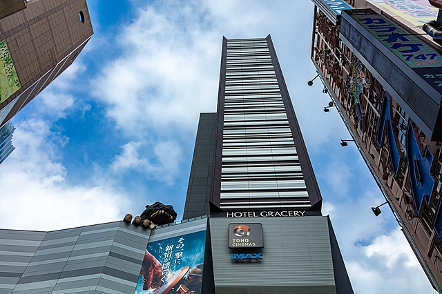 Shinjuku Kabukicho | Tokyo