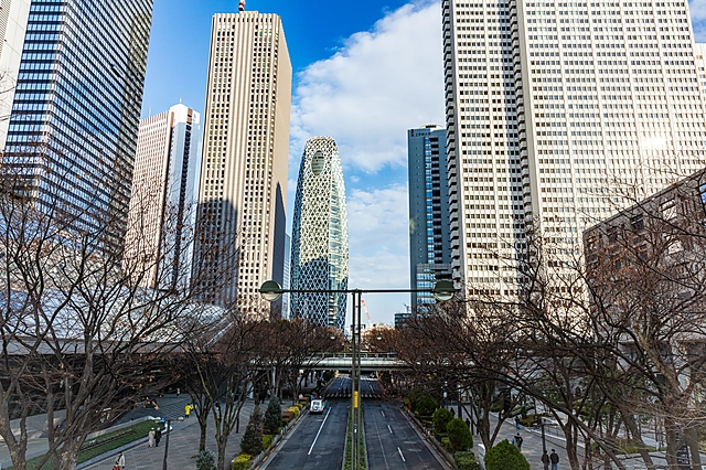 Chuo-dori, Shinjuku | Tokyo