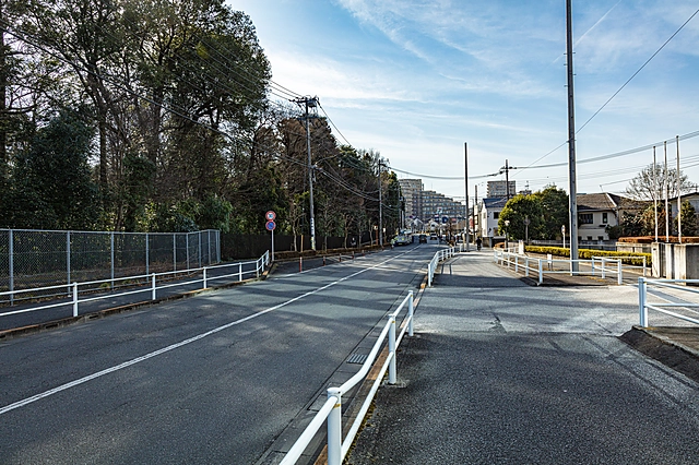 Kokubunji Kumano Shrine Street | Tokyo Tama Area