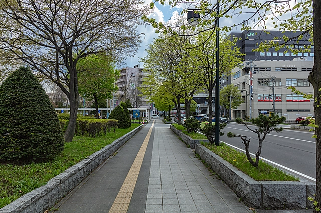 Along Soen Station East Street | Hokkaido