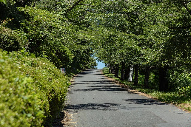 Mountain Road in Chichibu | Saitama Prefecture | Road / Highway
