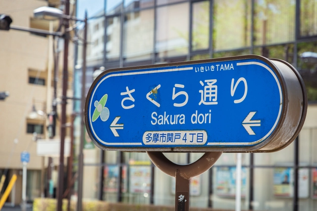 Sakura-dori Street Sign | Tokyo Tama Area