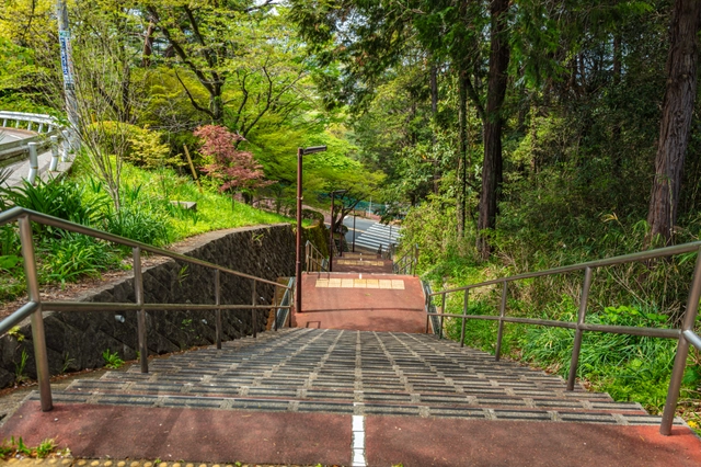Stairs along Iroha-zaka in Seiseki-Sakuragaoka | Tokyo Tama Area