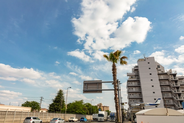 ベースサイドストリートのヤシの木と青空｜東京都福生市