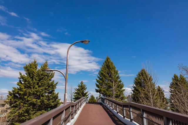 あいの里学園通りの歩道橋｜北海道札幌市北区