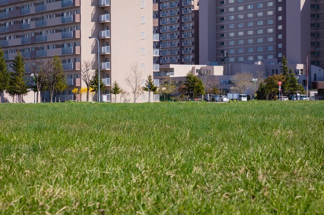 Lawn in Ainosato | Hokkaido