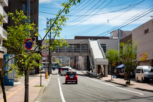 新緑の街路樹と手稲本町の通り｜北海道札幌市手稲区
