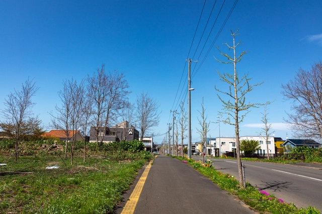 Paseo y árboles de calle en Teine-Asukaze | Hokkaido