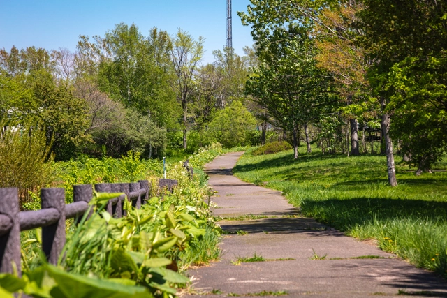 拓北いきいき公園の遊歩道｜北海道札幌市北区