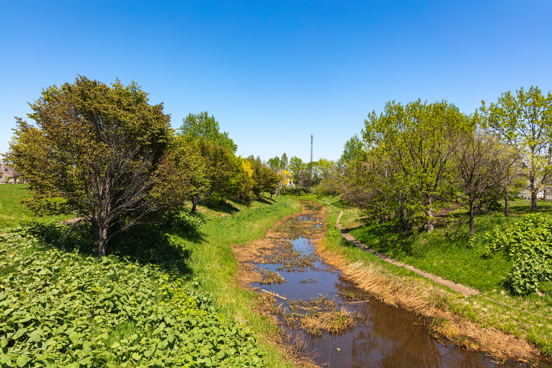 拓北いきいき公園の伏籠川旧流路|北海道札幌市北区