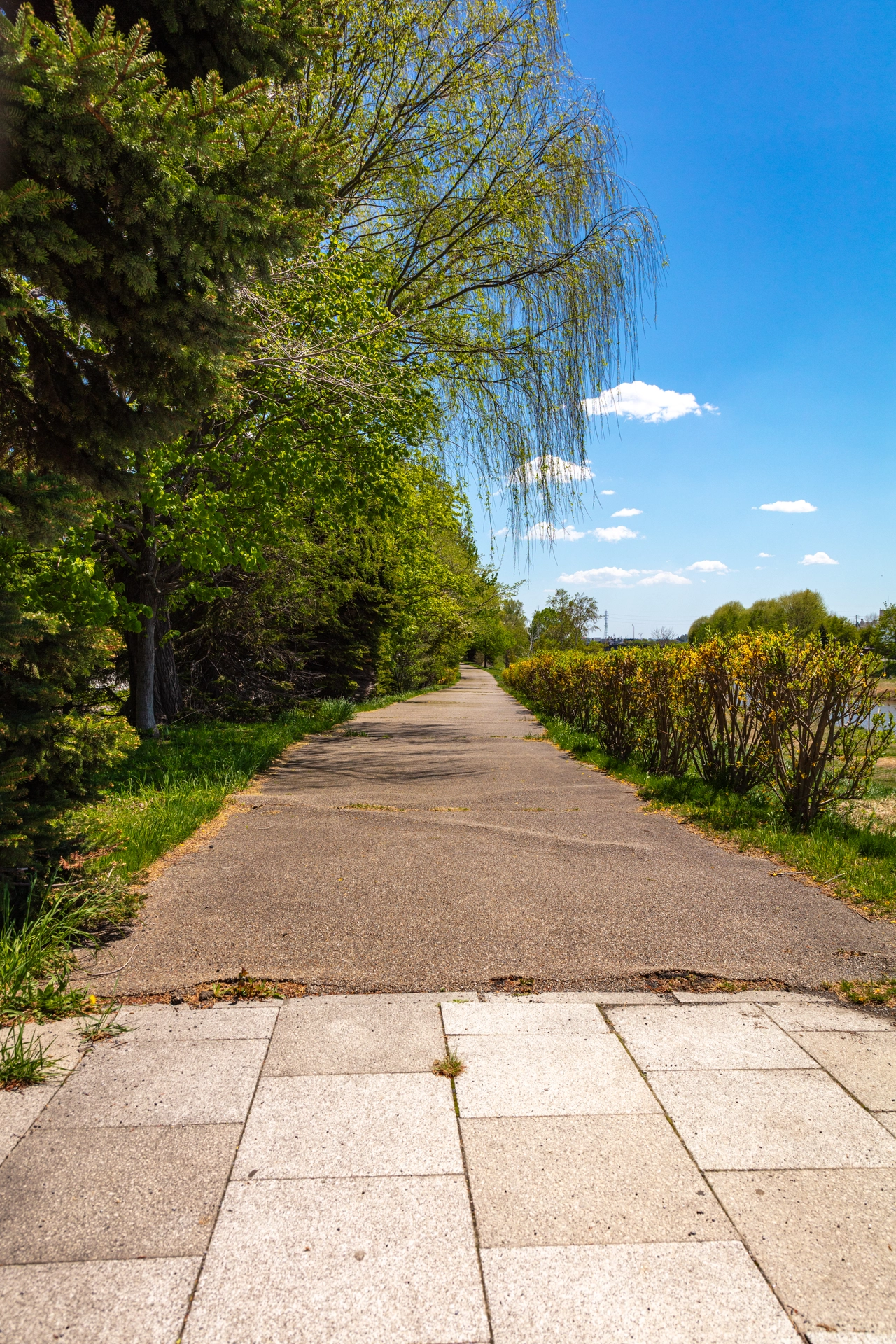 拓北いきいき公園の遊歩道|北海道札幌市北区