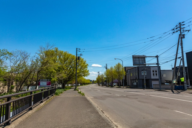 篠路通の街道と街路樹｜北海道札幌市北区